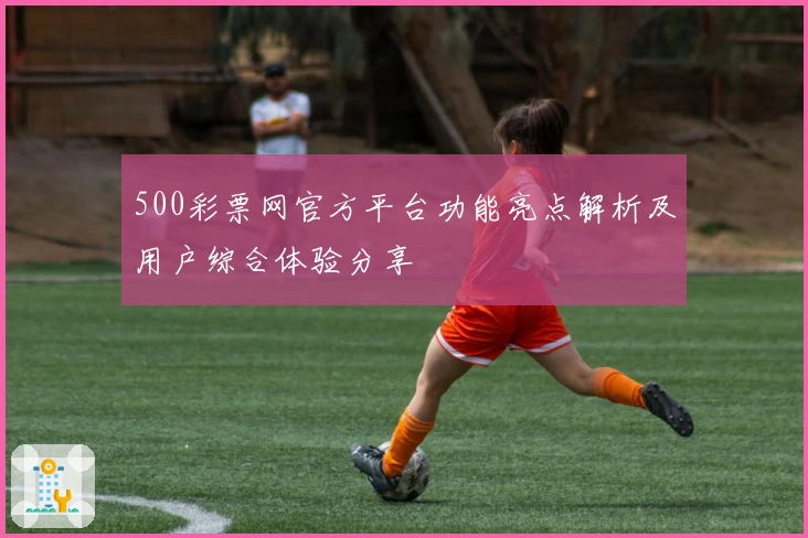 500彩票网官方平台功能亮点解析及用户综合体验分享