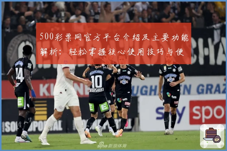 500彩票网官方平台介绍及主要功能解析：轻松掌握核心使用技巧与便捷入口