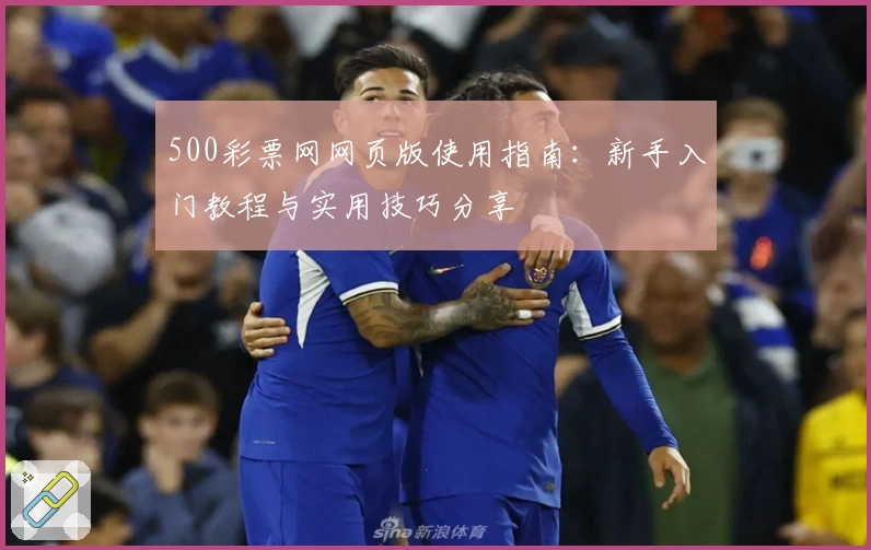 500彩票网网页版使用指南：新手入门教程与实用技巧分享